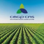 CMGP.CAS