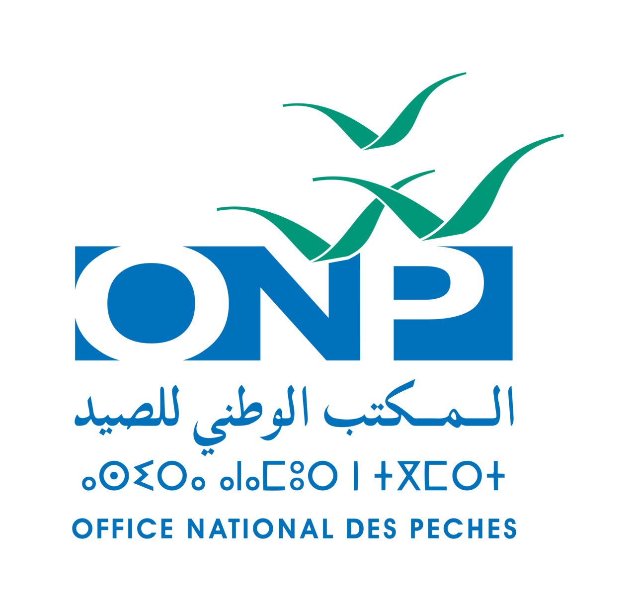 Recrutement ONP Tan-Tan Dakhla 2026 — Office National des Pêches