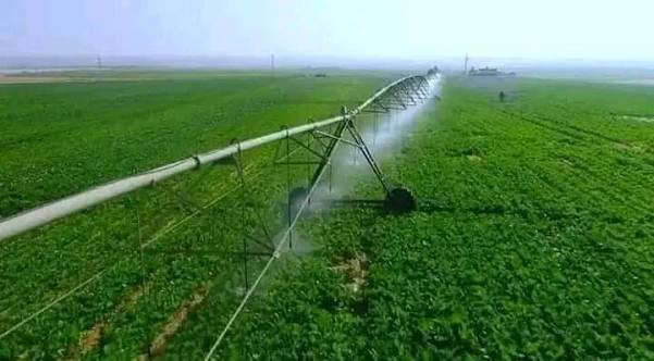 recrutement best harvest agadir 2026 aide comptable